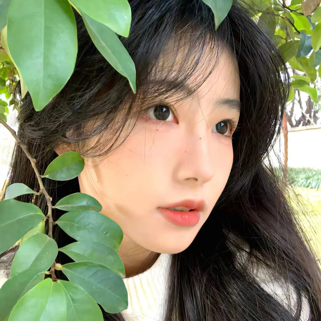 波琳娜的魔法日记